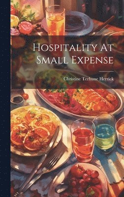 bokomslag Hospitality At Small Expense