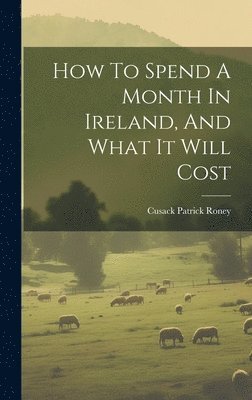 bokomslag How To Spend A Month In Ireland, And What It Will Cost