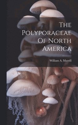 bokomslag The Polyporaceae Of North America