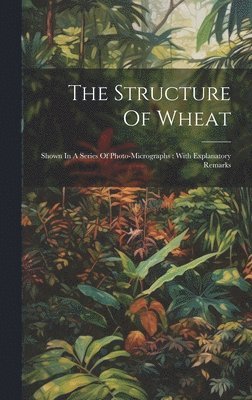 bokomslag The Structure Of Wheat