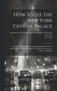 bokomslag How To See The New York Crystal Palace