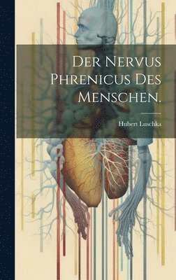 Nervus Phrenicus des Menschen.
