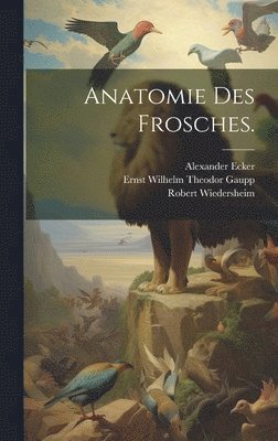 bokomslag Anatomie des Frosches.