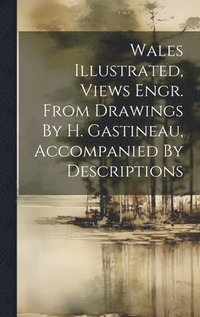 bokomslag Wales Illustrated, Views Engr. From Drawings By H. Gastineau, Accompanied By Descriptions