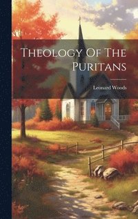 bokomslag Theology Of The Puritans