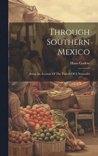 bokomslag Through Southern Mexico