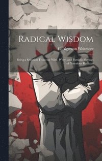 bokomslag Radical Wisdom
