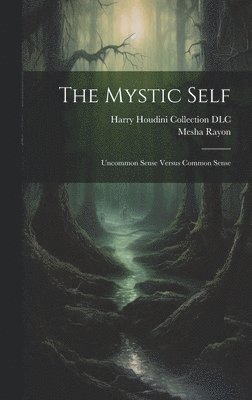 bokomslag Mystic Self