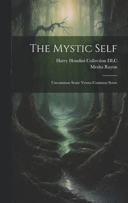 bokomslag The Mystic Self