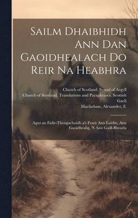 bokomslag Sailm Dhaibhidh Ann Dan Gaoidhealach Do Reir Na Heabhra