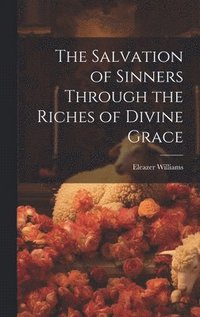 bokomslag The Salvation of Sinners Through the Riches of Divine Grace