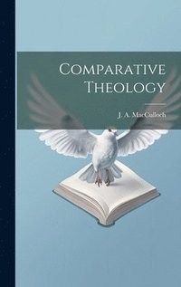 bokomslag Comparative Theology