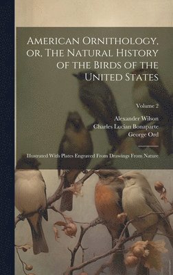 bokomslag American Ornithology, or, The Natural History of the Birds of the United States