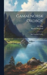 bokomslag Gamalnorsk ordbok