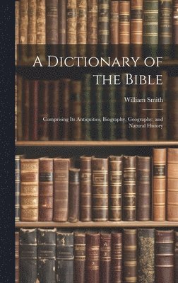 bokomslag A Dictionary of the Bible