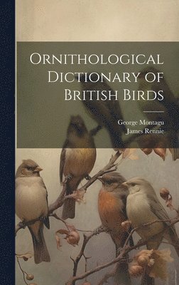 bokomslag Ornithological Dictionary of British Birds