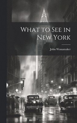 What to See in New York 1