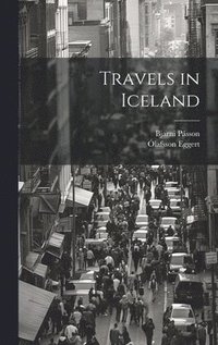 bokomslag Travels in Iceland