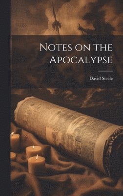 bokomslag Notes on the Apocalypse