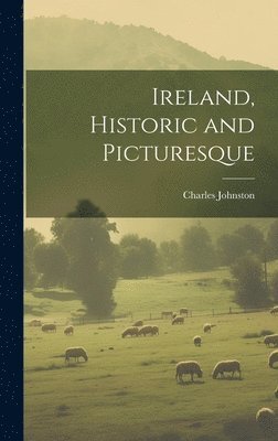 bokomslag Ireland, Historic and Picturesque