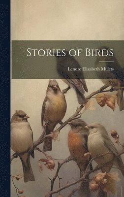 bokomslag Stories of Birds