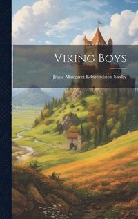 bokomslag Viking Boys