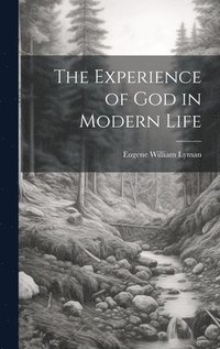 bokomslag Experience of God in Modern Life