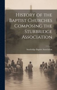 bokomslag History of the Baptist Churches Composing the Sturbridge Association