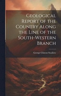 bokomslag Geological Report of the Country Along the Line of the South-Western Branch