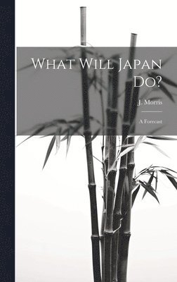 What Will Japan Do? 1