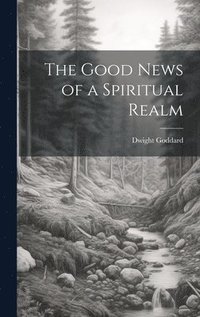 bokomslag The Good News of a Spiritual Realm