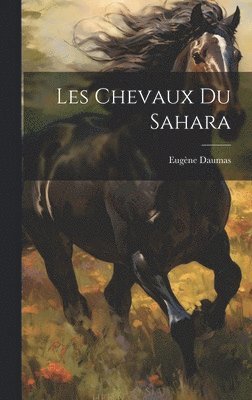 Les Chevaux du Sahara 1