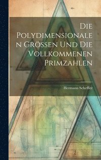 bokomslag Die Polydimensionalen Grssen und die Vollkommenen Primzahlen
