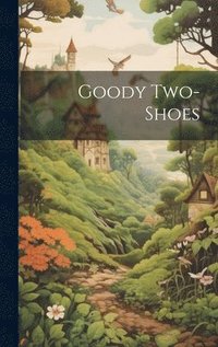 bokomslag Goody Two-Shoes