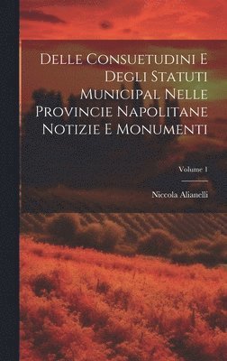 bokomslag Delle Consuetudini e Degli Statuti Municipal Nelle Provincie Napolitane Notizie e Monumenti; Volume 1