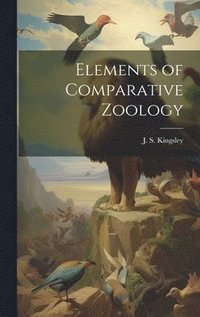 bokomslag Elements of Comparative Zoology