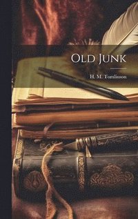 bokomslag Old Junk