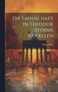 bokomslag Die Landschaft in Theodor Storms Novellen