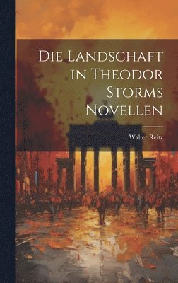 bokomslag Landschaft in Theodor Storms Novellen
