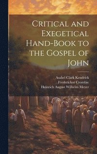 bokomslag Critical and Exegetical Hand-book to the Gospel of John