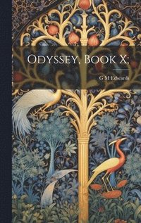 bokomslag Odyssey, Book X;