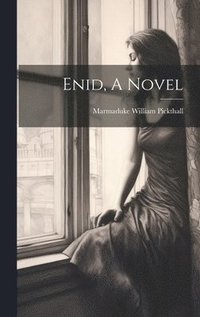 bokomslag Enid, A Novel