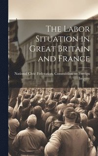 bokomslag Labor Situation in Great Britain and France