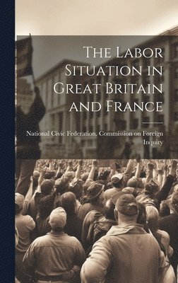 bokomslag Labor Situation in Great Britain and France