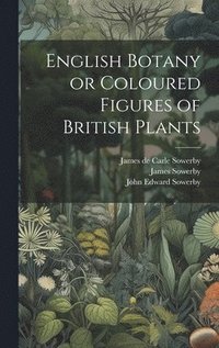 bokomslag English Botany or Coloured Figures of British Plants