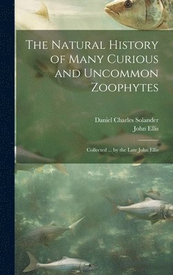 bokomslag The Natural History of Many Curious and Uncommon Zoophytes