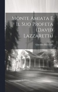 bokomslag Monte Amiata e il suo profeta (David Lazzaretti)
