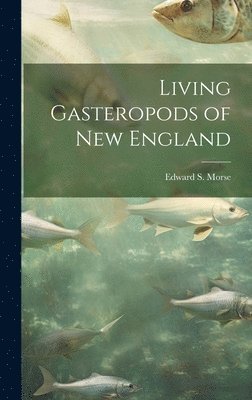 Edward S Morse - Living Gasteropods of new England, Inbunden