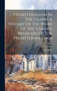 bokomslag Presbyterianism In The Ozarks A History Of The Work Of The Various Branches Of The Presbyterian Chur