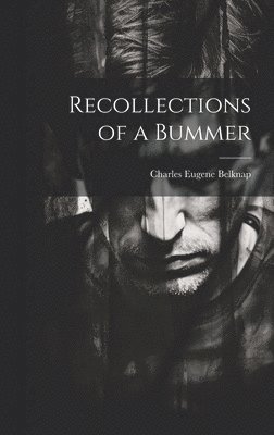 bokomslag Recollections of a Bummer